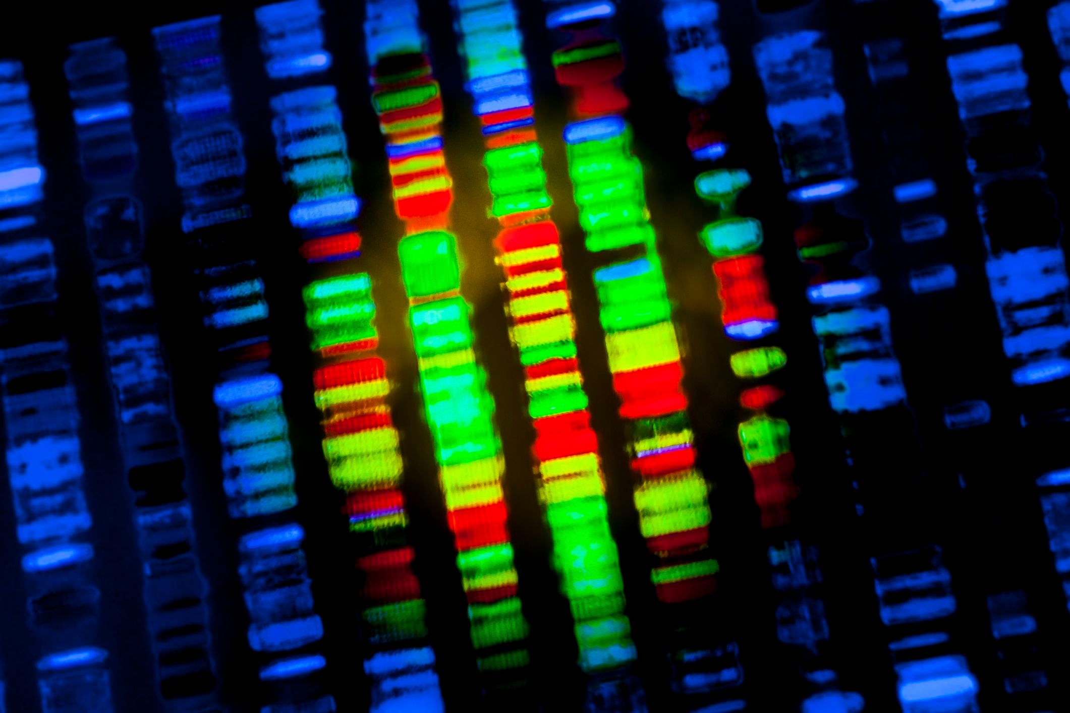 10x Genomics Cuts 2024 Revenue Outlook as Q2 Sales Miss Estimates