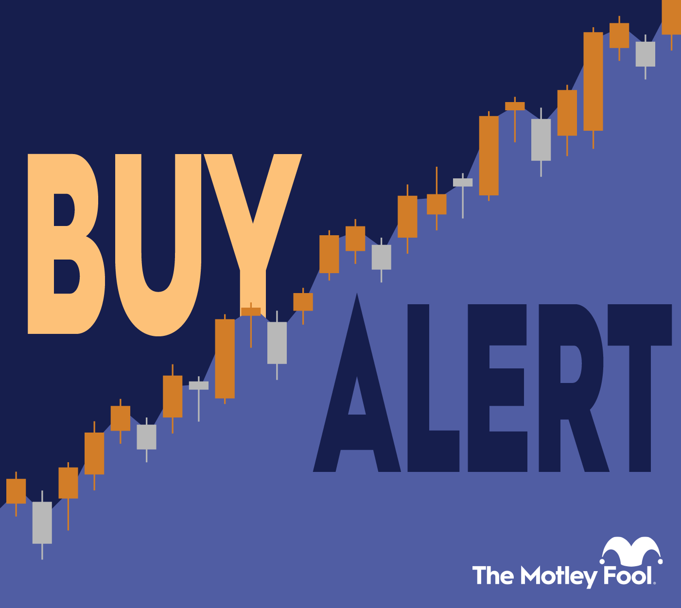 Is This Rare Earth and Met Coal Miner a Buy After One Firm Added 500 , 000 Shares ? 