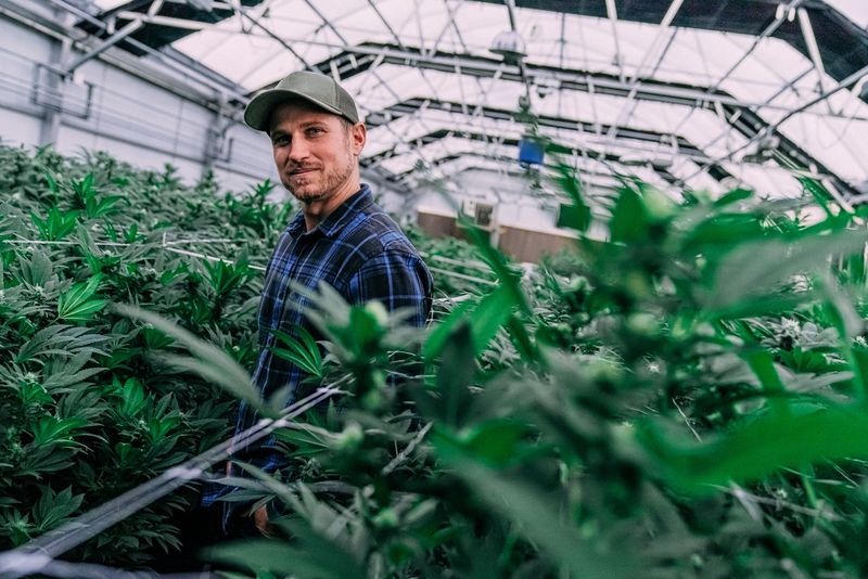 fool.com - David Jagielski, CPA - Aurora Cannabis Stock Has Soared 25% Since Curaleaf First Made an Offer to Buy Its Business. Here's Why I Think It Can Go Even Higher